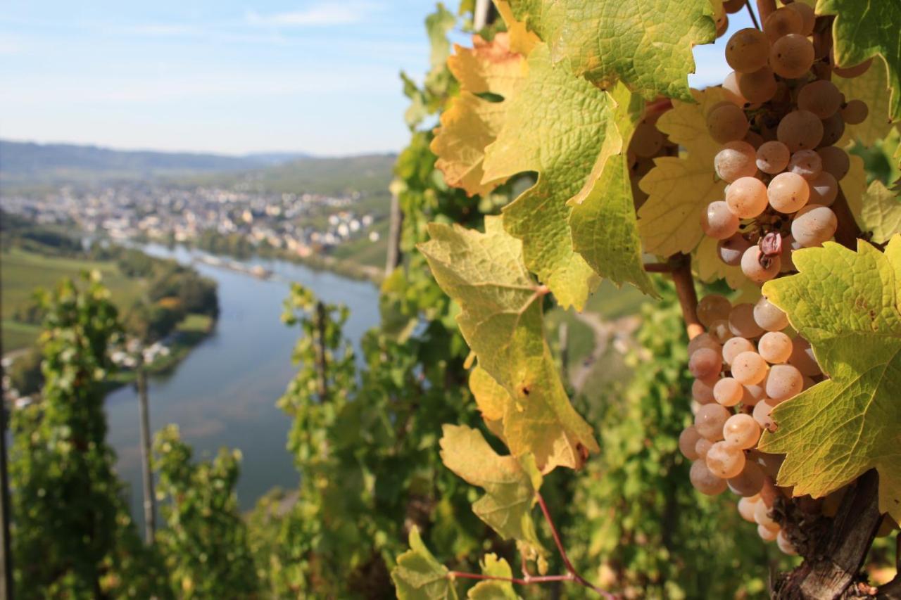 Weingut Markus Junglen Креф Экстерьер фото